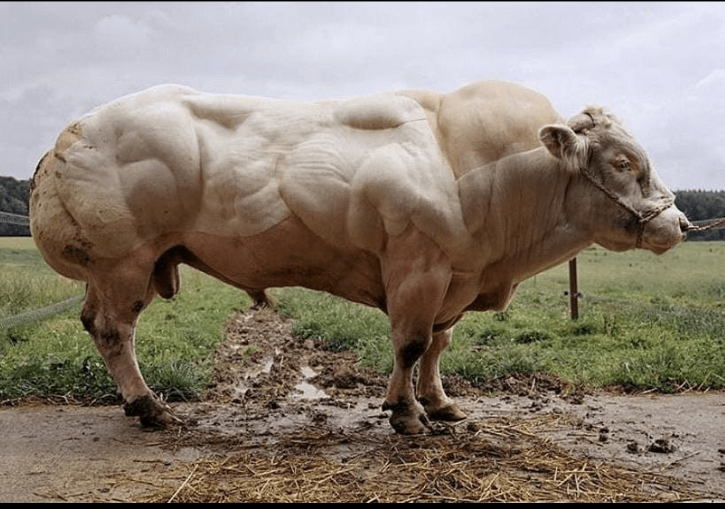 587e63f2-b5ae-40e8-b8b7-37eb7d1aa69e-min