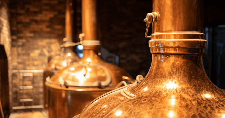 Hero BG - History of Precision Fermentation Copy