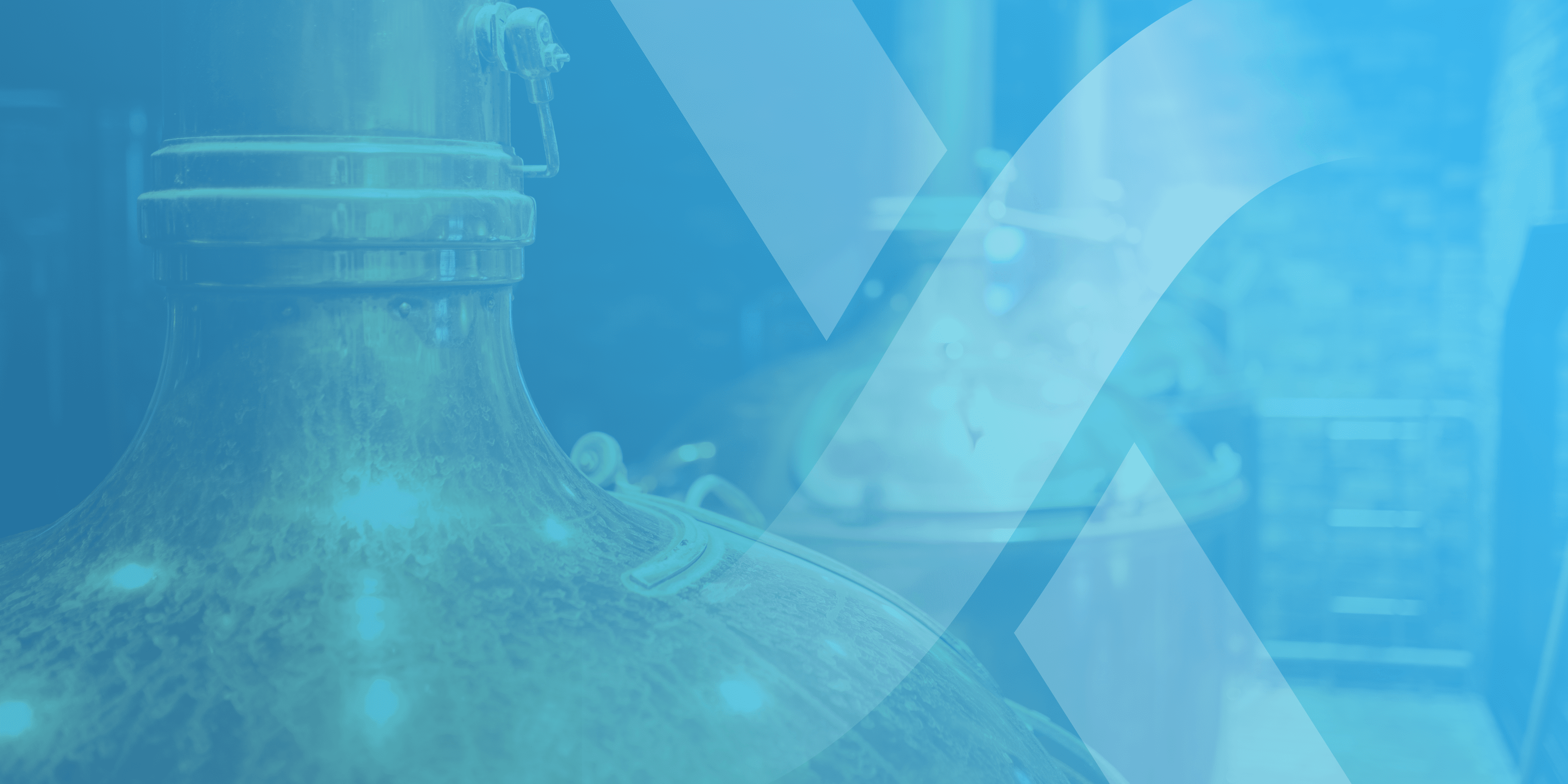 History of Precision Fermentation