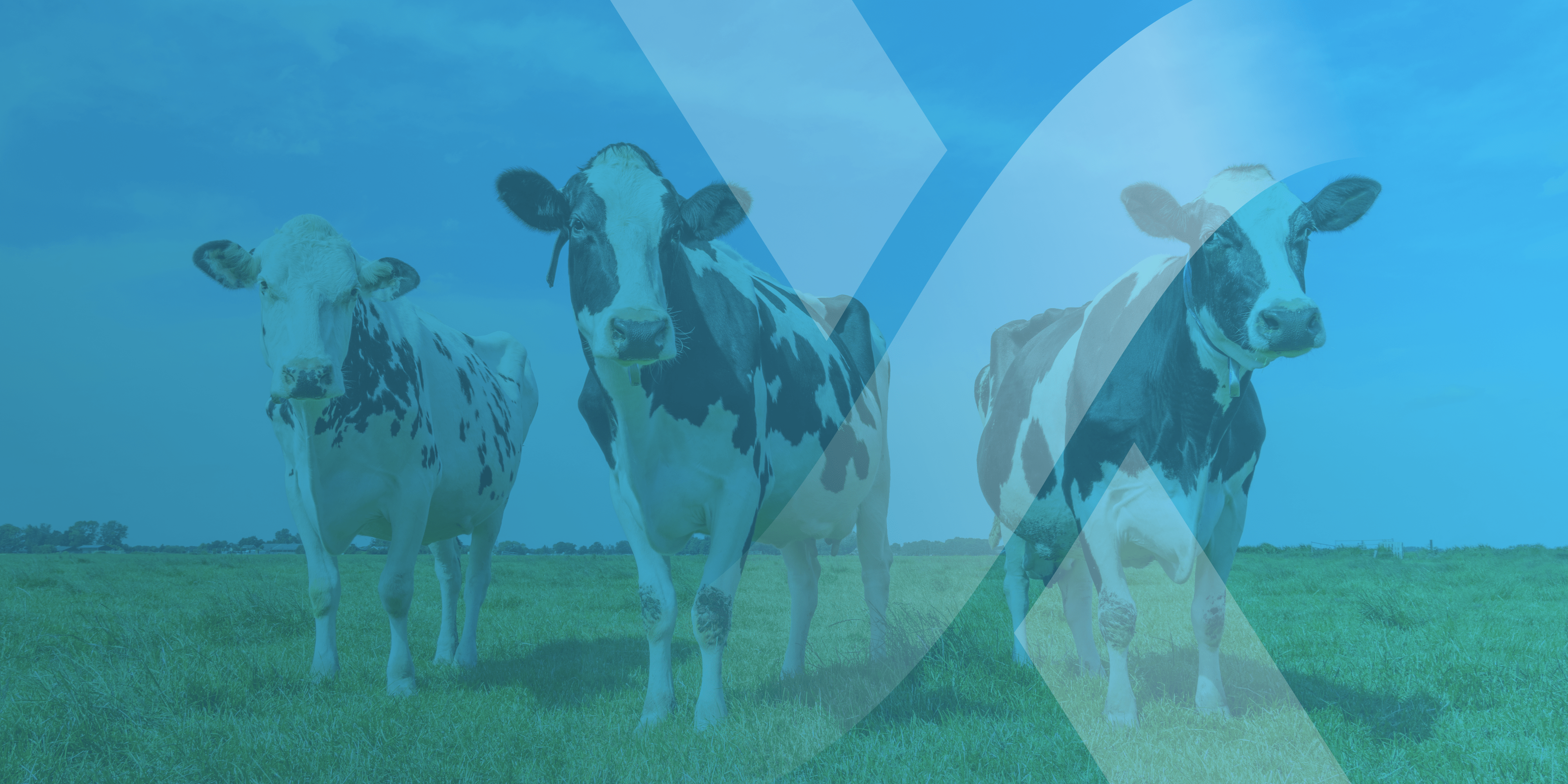Dairy Industry Disruption and Precision Fermenation