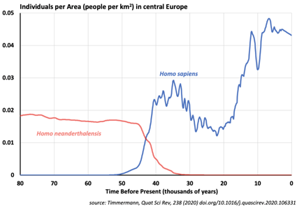 graph of estimated Neanderthal and Homo sapiens populations over time