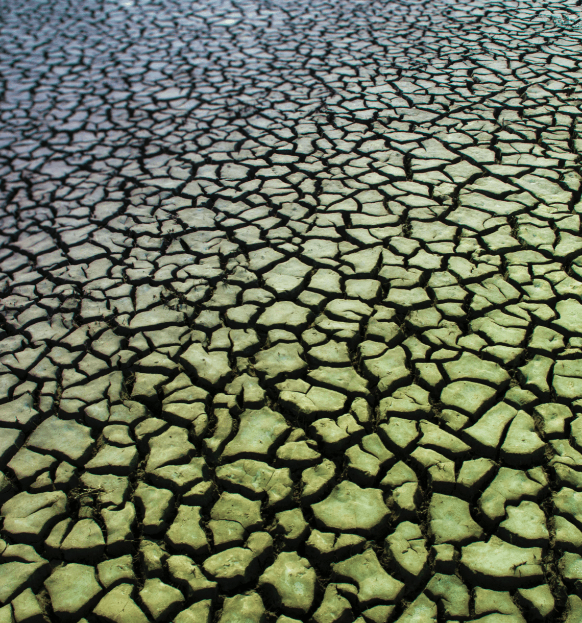 climate technology disruption