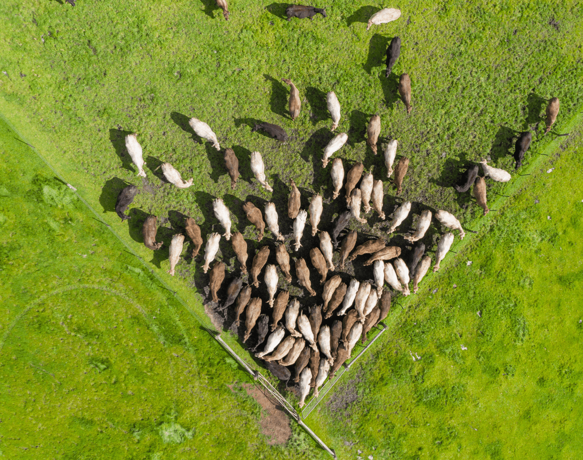 RethinkX Disruption of Food & Agriculture 9-min