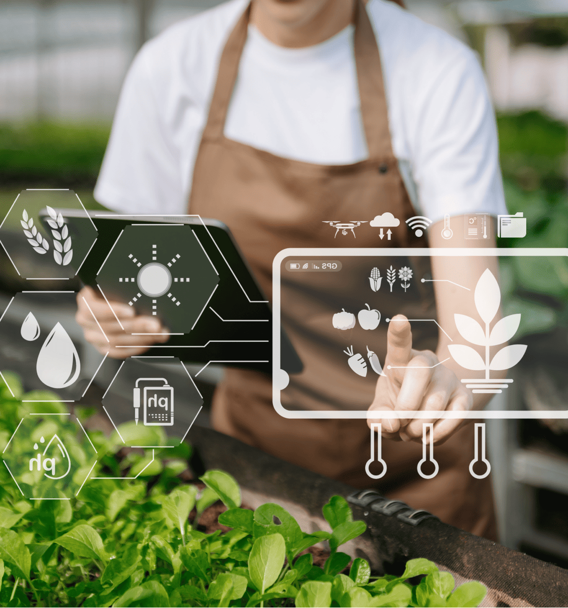 Novel foods will be cheaper, more nutritious and healthier than current alternatives