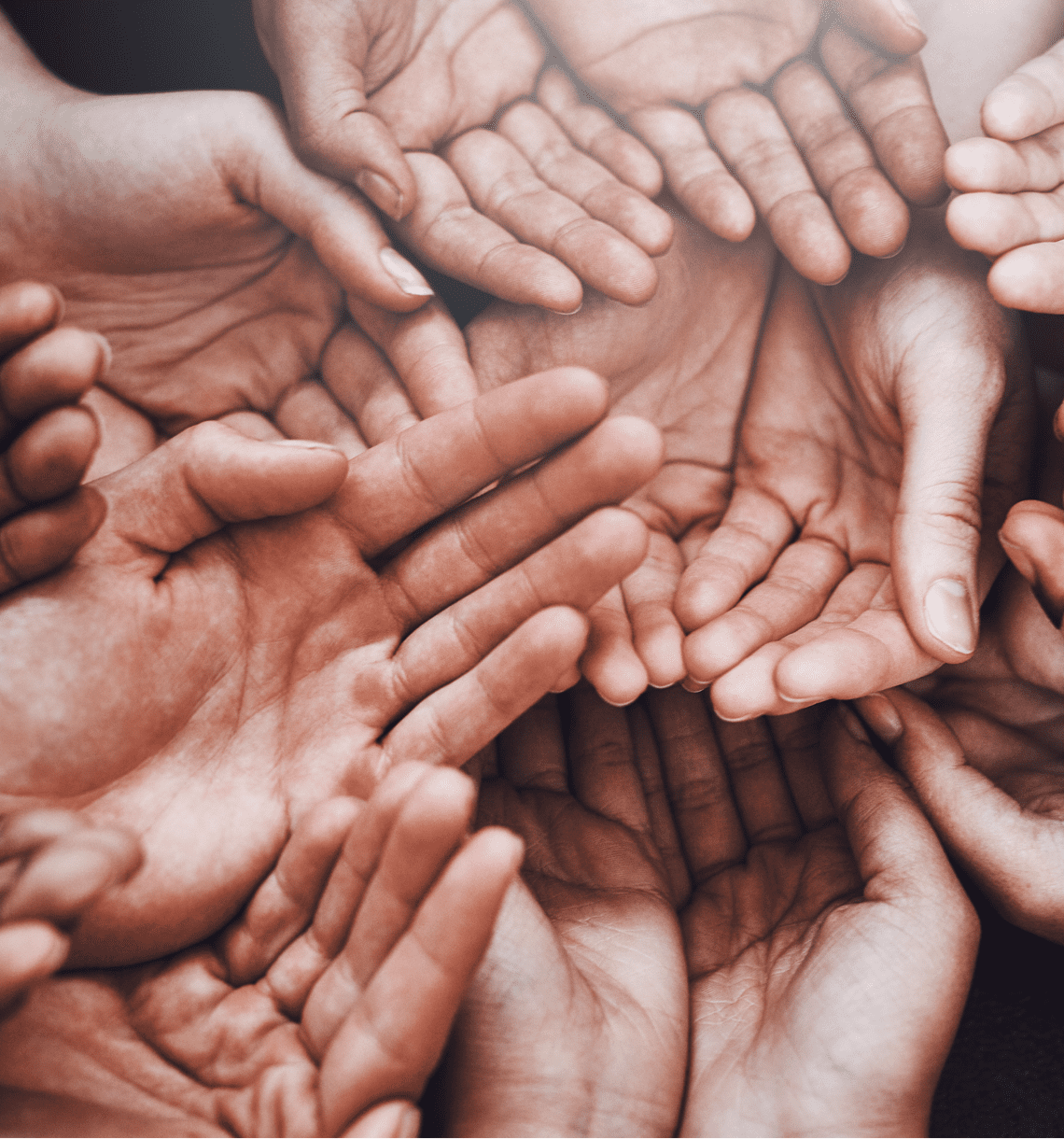 Humanity is in the midst of a phase change disruption. 