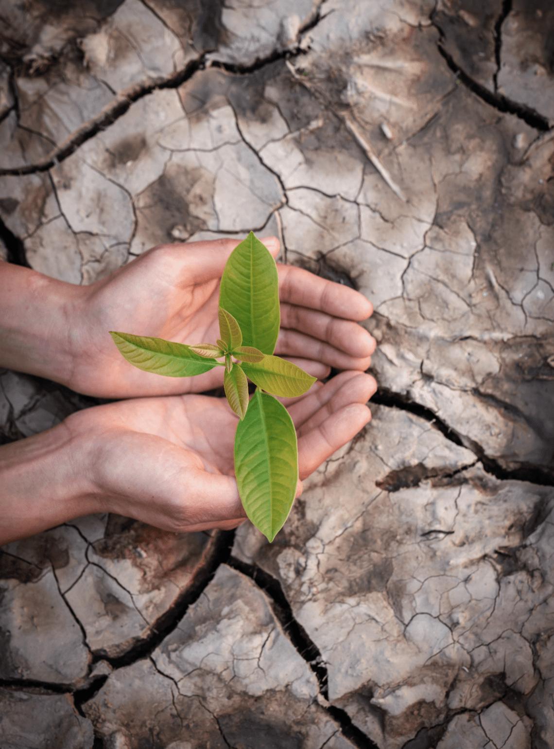 RethinkX - Rethinking Climate Change
