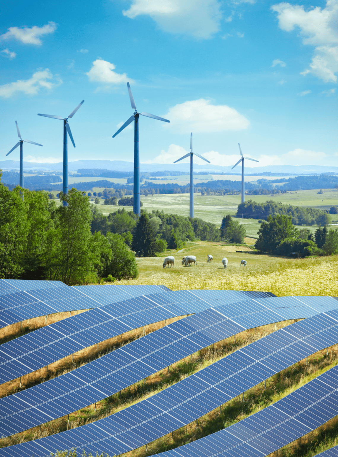 Solar and wind are the cheapest new generation options