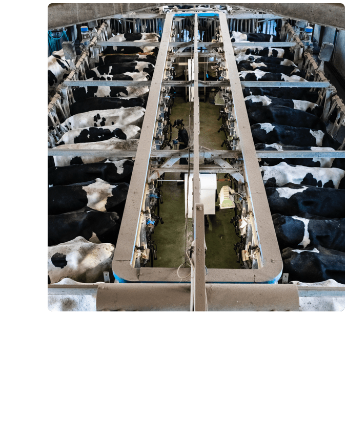 Dairy Industry Disruption