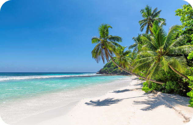 Untitled design %2812%29