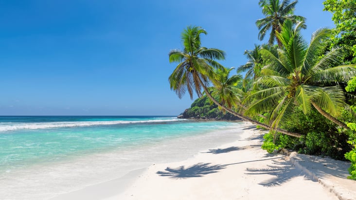 Untitled design %2813%29